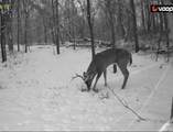 0 50 E. - Photo 34