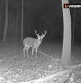 0 50 E. - Photo 36