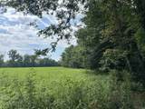 TBD State Road 161 - Photo 1