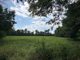 TBD State Road 161 - Photo 2