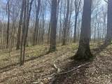 Lower Schooner Road - Photo 13