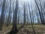  Lower Schooner Road - Photo 14