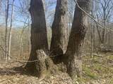  Lower Schooner Road - Photo 18