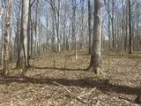  Lower Schooner Road - Photo 8