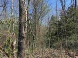 Lot B-21 Highway 46 - Photo 6