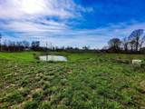 53592 Larne Drive - Photo 6