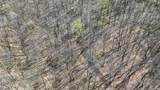 TBD Hardin Ridge Road - Photo 14