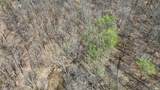TBD Hardin Ridge Road - Photo 15