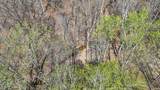 TBD Hardin Ridge Road - Photo 16