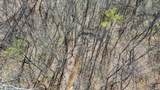 TBD Hardin Ridge Road - Photo 7