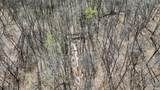 TBD Hardin Ridge Road - Photo 9
