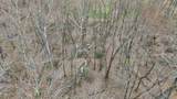 000 Brooks Road - Photo 15