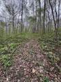 Tract 5 E Pine Road Common - Photo 10