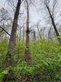 Tract 5 E Pine Road Common - Photo 7