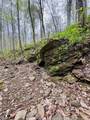 Tract 5 E Pine Road Common - Photo 9