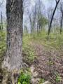 Tract 2 E Pine Road Common - Photo 5
