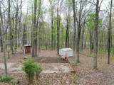 Tract 3 E Pine Road Common - Photo 4