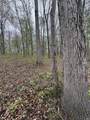 Tract 4 E Pine Road Common - Photo 6