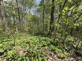 TBD Coon Path Road - Photo 10