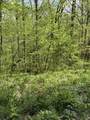 TBD Coon Path Road - Photo 11