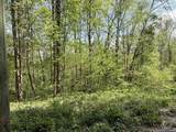TBD Coon Path Road - Photo 12