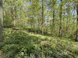TBD Coon Path Road - Photo 13