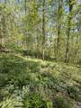 TBD Coon Path Road - Photo 14