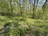 TBD Coon Path Road - Photo 15