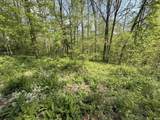 TBD Coon Path Road - Photo 16