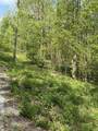 TBD Coon Path Road - Photo 17