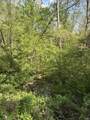 TBD Coon Path Road - Photo 19