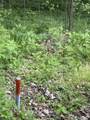 TBD Coon Path Road - Photo 2