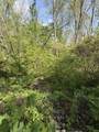 TBD Coon Path Road - Photo 20