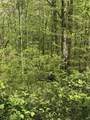 TBD Coon Path Road - Photo 22