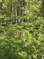 TBD Coon Path Road - Photo 23