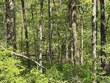 TBD Coon Path Road - Photo 24
