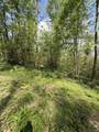 TBD Coon Path Road - Photo 3
