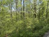 TBD Coon Path Road - Photo 30