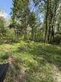 TBD Coon Path Road - Photo 31
