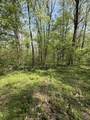 TBD Coon Path Road - Photo 4