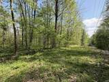 TBD Coon Path Road - Photo 6