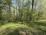 TBD Coon Path Road - Photo 8