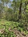 TBD Coon Path Road - Photo 9