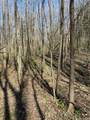  Backbone Lane - Photo 3