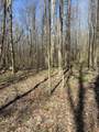  Backbone Lane - Photo 8
