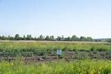 10105 Ayrshire Road - Photo 1