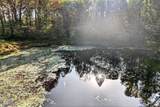 TBD Burch Road - Photo 17