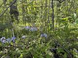 TBD Cleveland Road - Photo 28