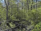 TBD Cleveland Road - Photo 9