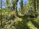 7761 State Road 54 - Photo 19
